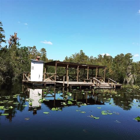 Go Camping On A Dock In Okefenokee Swamp in Georgia