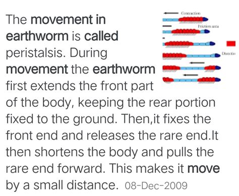 what is the movement in earthworm called rn - Science - Body Movements ...