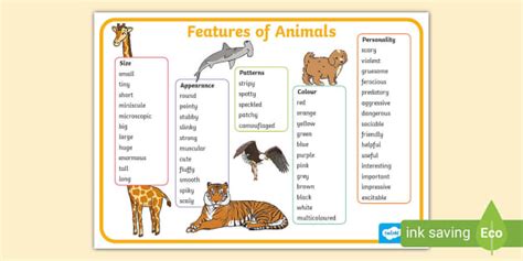 Features of Animals Word Mat - Twinkl - Literacy Resources