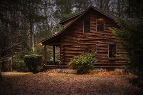 Free photo: Brown Cabin in the Woods on Daytime - Architecture, Light ...