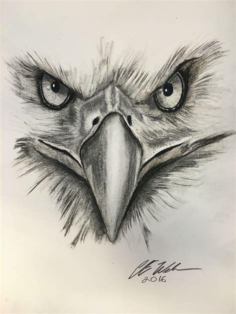 Eagle eyes | Sketches, Eagle drawing, Eagle art