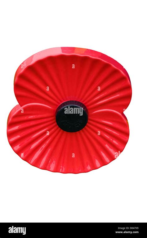 Royal British Legion Poppy Stock Photo - Alamy