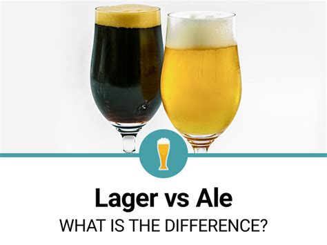 Lager vs Ale - What is the Difference?