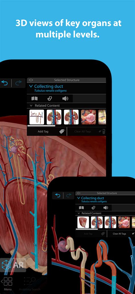 Human Anatomy Atlas 2023 MOD APK v2023.03.000 (Unlocked) for Android