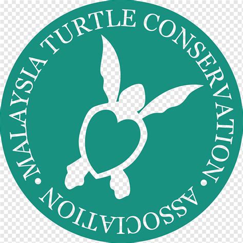 Sea Turtle Conservancy Organization Conservation, turtle, animals, logo ...