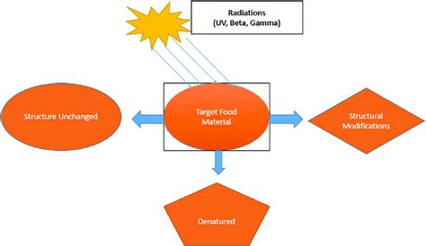 Schematic diagram of radiation processing. | Download Scientific Diagram