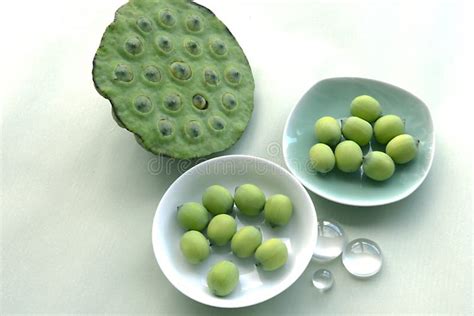 Seeds of water lily stock image. Image of seed, green - 10354591