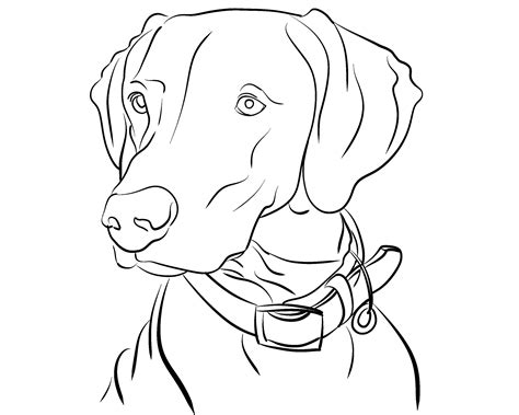 Dog Line Art Pet Line Drawing Custom Line Art Single Line - Etsy