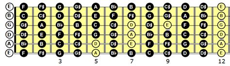 Guitar String Notes | Learn all Guitar Strings