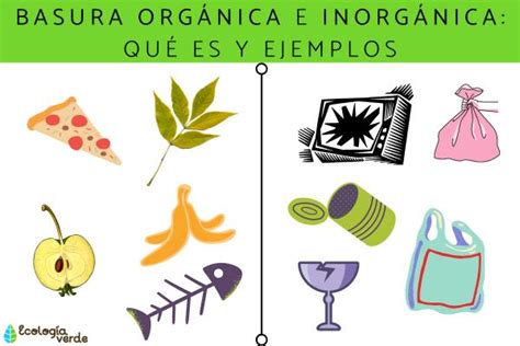 Basura orgánica e inorgánica: qué es y ejemplos - Resumen