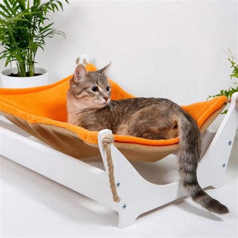 Best Cat Hammocks (2021) | meowpassion