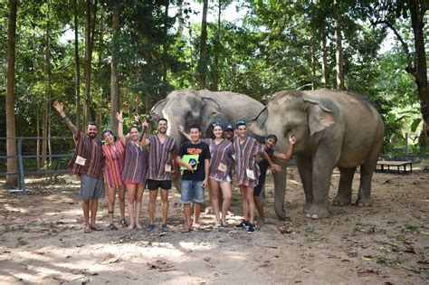 Elephant Jungle Sanctuary Samui