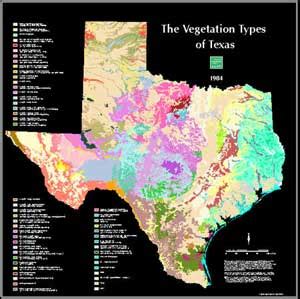 Texas Vegetation Map | Business Ideas 2013