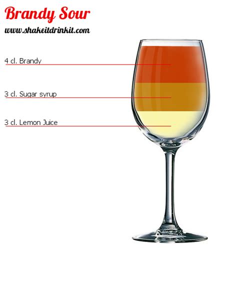 Brandy Sour Cocktail : Recipe, instructions and reviews ...