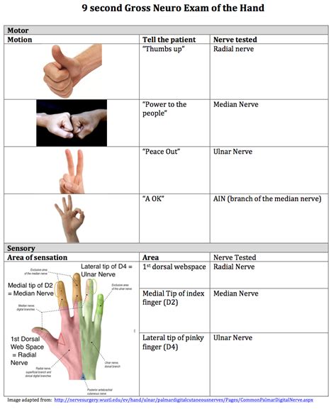 Pin by Aviram Zailer on Hands | Neurological assessment, Emergency ...