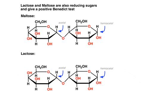 What Are Reducing Sugars? – Master Organic Chemistry