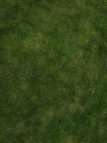 Photoshop Tutorial: How to create a tileable grass textures with the ...