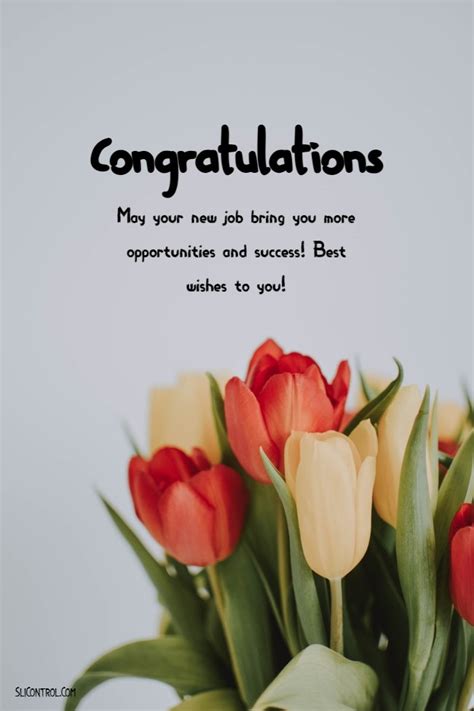 145+ Best Wishes for New Job & Congratulations Messages, Quotes ...