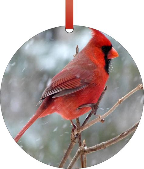 Ornament Cardinal - Red Cardinal Bird in the Snow - Round Shaped Flat ...