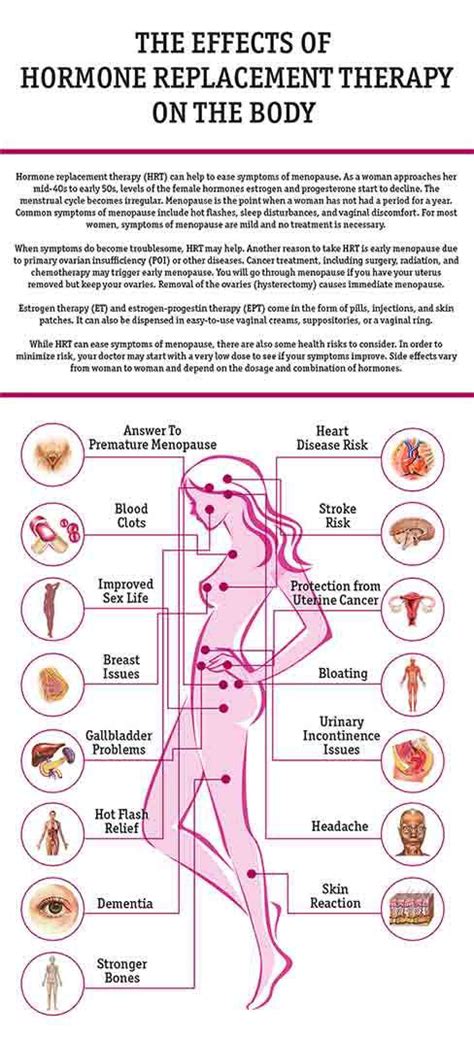 Hormone Replacement Therapy Definition - Human Body Anatomy