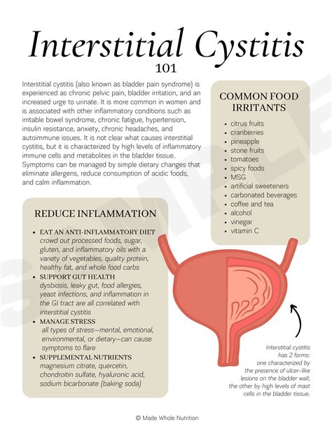 Interstitial Cystitis 101 — Functional Health Research + Resources ...