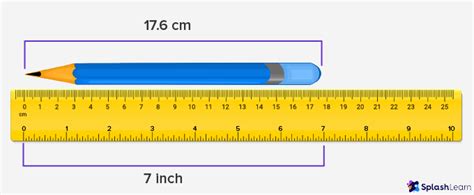 What is Ruler? Definition, Types, Examples, Facts