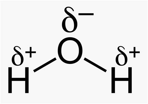 H2o Chemical Bond - Structure Of Water With Partial Charges , Free ...