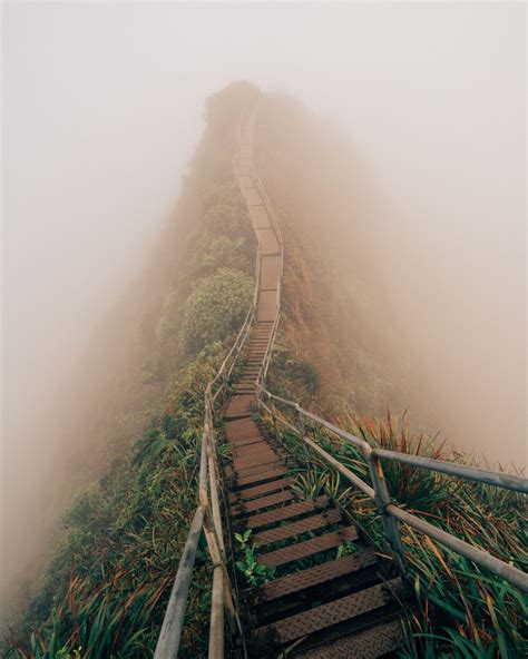 Hawaii's Infamous Stairway To Heaven: What you need to know - Art of ...