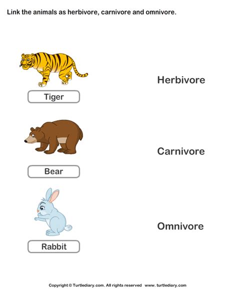 Identify Animals as Herbivore, Carnivore, or Omnivore Worksheet | Food ...