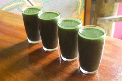 Best Juice Recipes For Diabetics