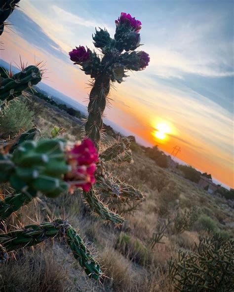 17 Albuquerque Hikes you won't want to miss! Hiking Trails Albuquerque ...