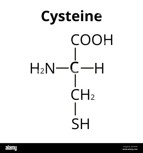 Amino Acid Chemical Structure