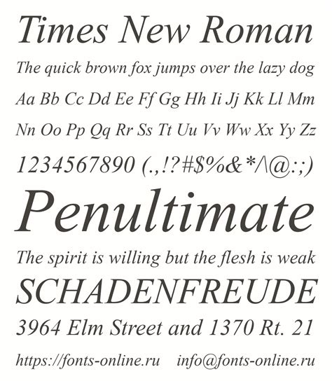 Times New Roman font