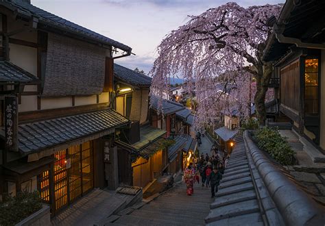 2022 Kyoto Cherry Blossom Guide & Sakura Season Viewing Tips - Travel ...