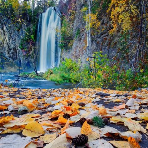 The Amazing Autumn Leaf Colors of Spearfish Canyon: A Photo Essay ...