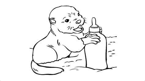 Baby Sea Otter Coloring Page