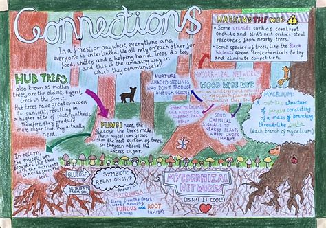 Poster competition - British Science Week