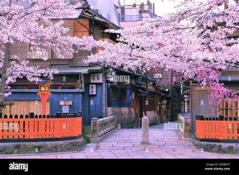 Gion with cherry blossoms Stock Photo - Alamy