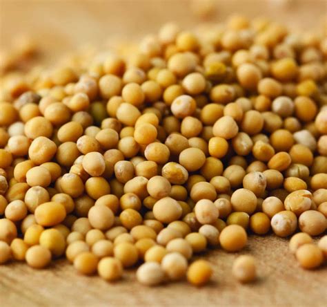 Mustard Seed | Bulk Priced Food Shoppe