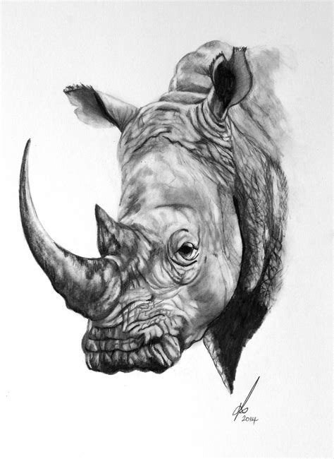 Black Rhino | Nashorn, Elefant gemälde, Nashorn tattoo