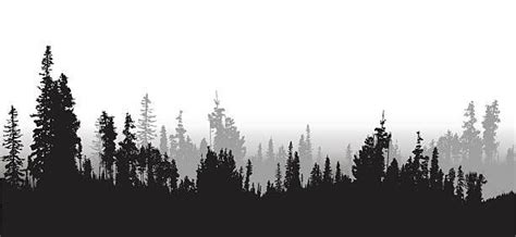 A vector silhouette illustration of a treeline of a densse forest ...