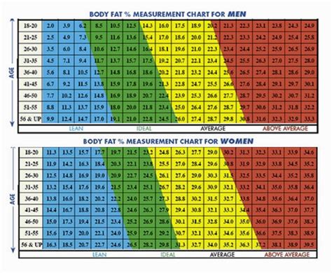 Army Body Fat Percentage Bmi Chart