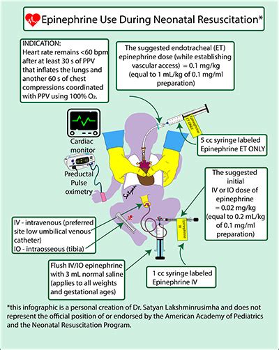 Epinephrine For Neonatal Resuscitation