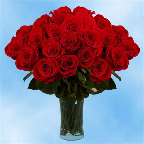 Globalrose Fresh Valentine's Day Red Roses (75 Extra Long Stems)-75-red ...