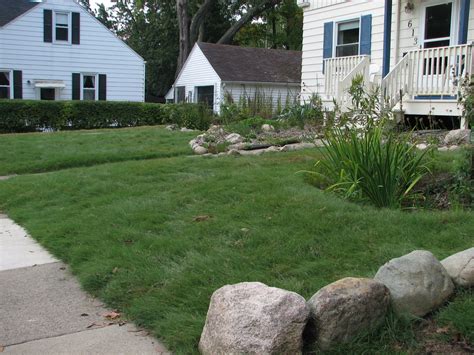 Grass Alternatives & Buffalo Grass in Ann Arbor | Creating Sustainable ...