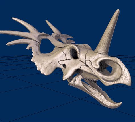 Styracosaurus skull sculpt 06 by Strick67 on DeviantArt