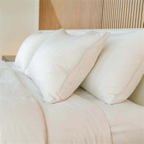 Best Feather Pillows of 2023 - Sleep Doctor