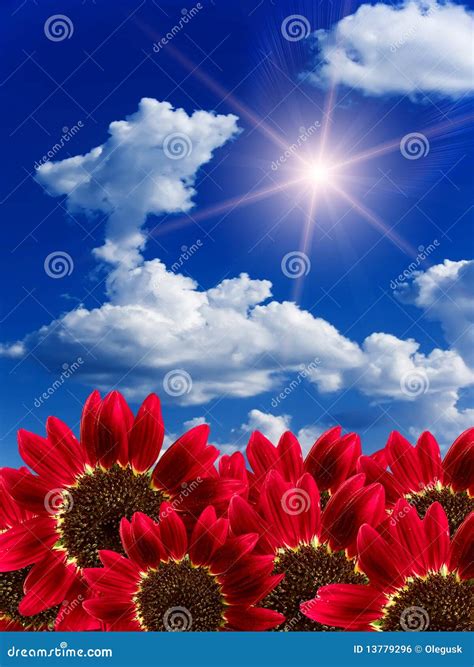 Sun cloud sky stock photo. Image of abstract, bright - 13779296