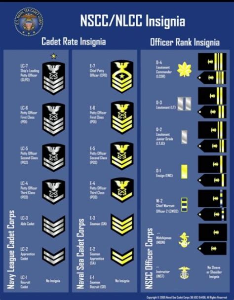 Sea Cadet Insignias | Navy officer ranks, Military ranks, Navy training