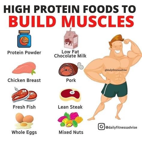 High Protein foods to build muscle | Muscle building foods, Build ...